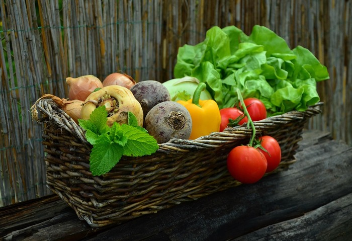 <b>农业技术推广服务-004</b>
